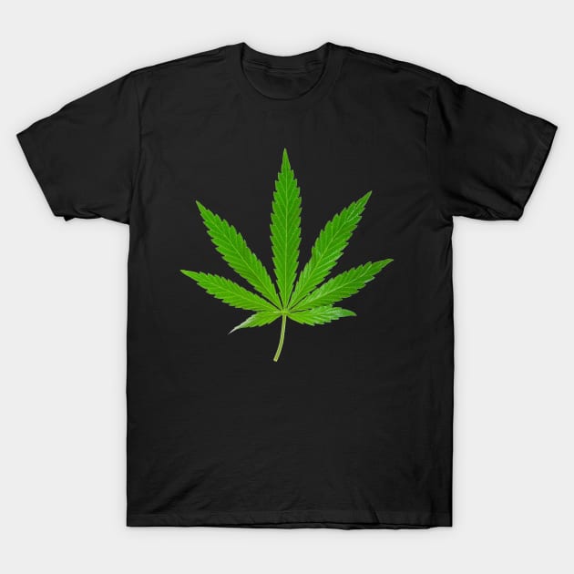 Weed Leaf T-Shirt by ChestifyDesigns